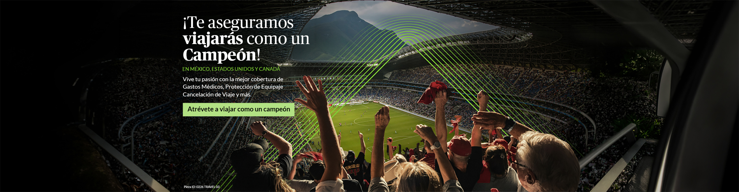 Image Alt Text