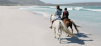 Icon representing the content